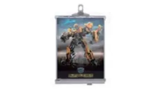 F6556 DVD CADRE SLS PLUS SÛR