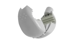 Étiquette d'aigle T045